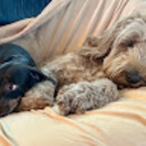 Meet your Posher, Debra